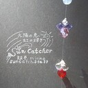 suncatch’s blog