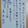 菖蒲の花の絵手紙お礼状