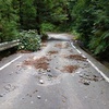 ひさしぶりの山坂道