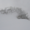 深めの雪に煙る山 - 頸城 妙高山外輪周辺