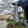 満開の桜に間に合った！