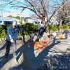 境内整備が行われる