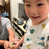 長男は幼稚園で虫博士と呼ばれているらしい！