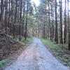 【林道蛇野線追記】霧降川周辺の林道・西古谷ダム周辺の林道