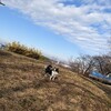 おはぎと〆の稲荷山公園