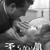 『映画「柔らかい肌」（フランス、1964年）』