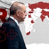「トルコのBRICS入りに向けた動き」－戦略的転換か、それとも外交的駆け引きか?
