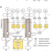 Predicting Molecular Properties-7