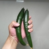 きゅうりの消費はからし漬け