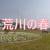 荒川の春
