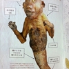 人魚のミイラの作り方