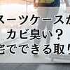 スーツケースがカビ臭い？自宅でできる取り方と対策