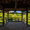 新緑の東福寺