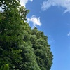 🟡奈良7月のご案内です
