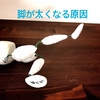 脚が太くなる原因