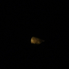 月の出、真夜中頃の月