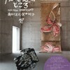 東京アートミュージアムの「風と遊ぶところ」を見る