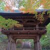 11月の親孝行　紅葉寺編