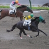 盛岡替わりで期待するも、まだスムーズさを欠く感じで７着