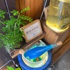路地水族館のお話。