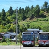 県外移動制限解除後にやりたいこと