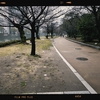 Photo No.1901 / 本日は写真のみ