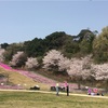 春休みスペシャル♫今日はお花見だぁぁ🌸《岸和田市放課後等デイサービス ほっとスペースあん》