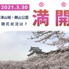 【津山城・鶴山公園】2021年3月30日「満開！」となりました。