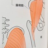 身体の使い方seriesその23『お尻を意識』してますか⁈臀筋をしめて腸腰筋を効かす。クライマー・武術家・一般の方々にもオススメです！！