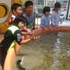 東海大学水族館と地引き網