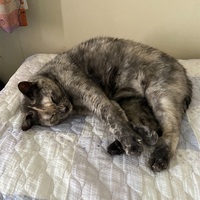 風邪？で寝ていました