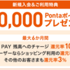  au PAY カード新規入会&利用で最大10,000ポイント ☆彡