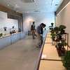 展示会で好きな樹を知る