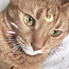 そして、ルパン三世が生まれた～命を吹き込んだ男たち～