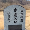 25/01/19～20　甲州街道歩き
