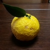季節の果実