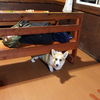 サンタヒルズ　ＢＢＱ編~翌朝　②
