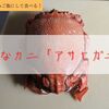 【奄美|アサヒガニ】変なカニ！「アサヒガニ」を炊き込みご飯にして食べる！売ってる場所も！