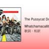 【歌詞・和訳】The Pussycat Dolls / Whatchamacallit