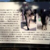  隠しきれずほのかに滲み出る子育てストレス感に同情を禁じえない、上野動物園のとある紹介文が名文