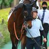 ６日に札幌競馬場（和田勇厩舎）へ帰厩しています。☆ロードイモータル