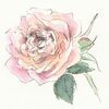 ブログの冬休み