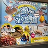 【3年ぶり！】前橋のスズランに「遊べる水族園」が帰ってくる！この夏休みはスズラン前橋へGO！【スズラン百貨店前橋店（前橋・千代田町）】