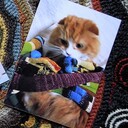 【編み物本を編む】～ルーエル通り39番地