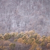 藻岩山  雪化粧