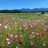 「七十八年経ちましたね」父の遺影に・・・