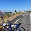 本日のアクティヴィティ 江戸川右岸80kmライド