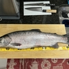 【Salmon釣り】スチールヘッドを求めて～釣り友さんオハイオへ遠征！