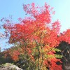 ステップワゴンで車中泊　～昇仙峡の紅葉2019②　昇仙峡散策編～