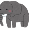 【神戸市立王子動物園】子連れで失敗しない回り方｜坂道・遊園地・休憩所のリアル対策